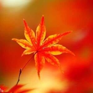 particolare del Momijigari