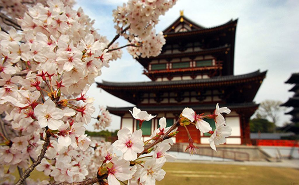 - GIAPPONE 12 1024x633 - Home - photo giappone tokyo sakura - GIAPPONE 12 1024x633 - Home