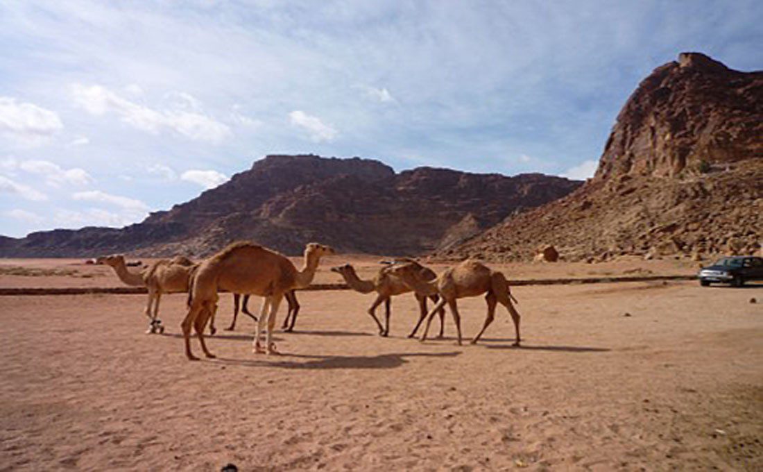 giordania wadi rum