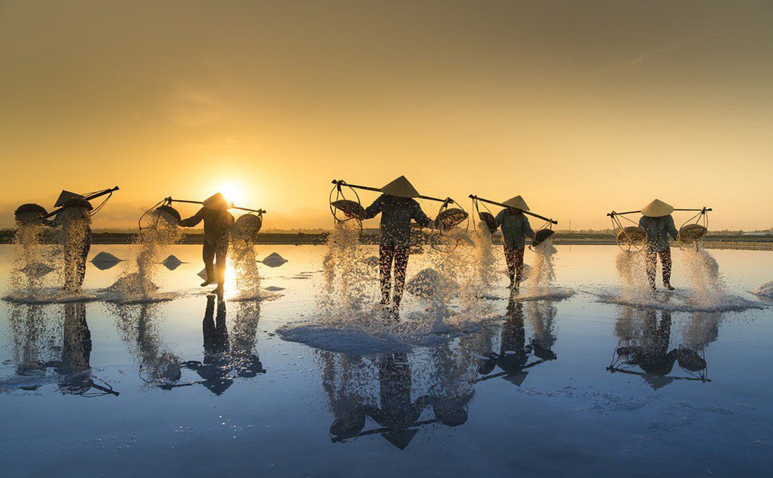 vietnam risaia