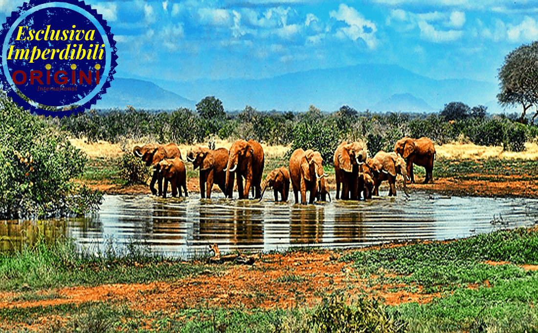 - ESCLUSVA VIAGGI ORIGINI 14 - Ammirare lo Spettacolo della Natura - photo TOUR IN SUDAFRICA - ESCLUSVA VIAGGI ORIGINI 14 - Ammirare lo Spettacolo della Natura