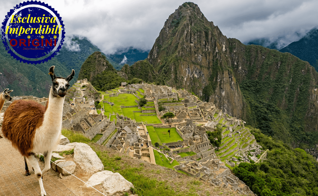 ammirare lo spettacolo della natura - peru origini international - Ammirare lo Spettacolo della Natura - photo ammirare lo spettacolo della natura - peru origini international - Ammirare lo Spettacolo della Natura