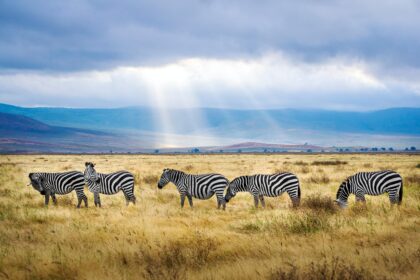 Viaggio in Tanzania