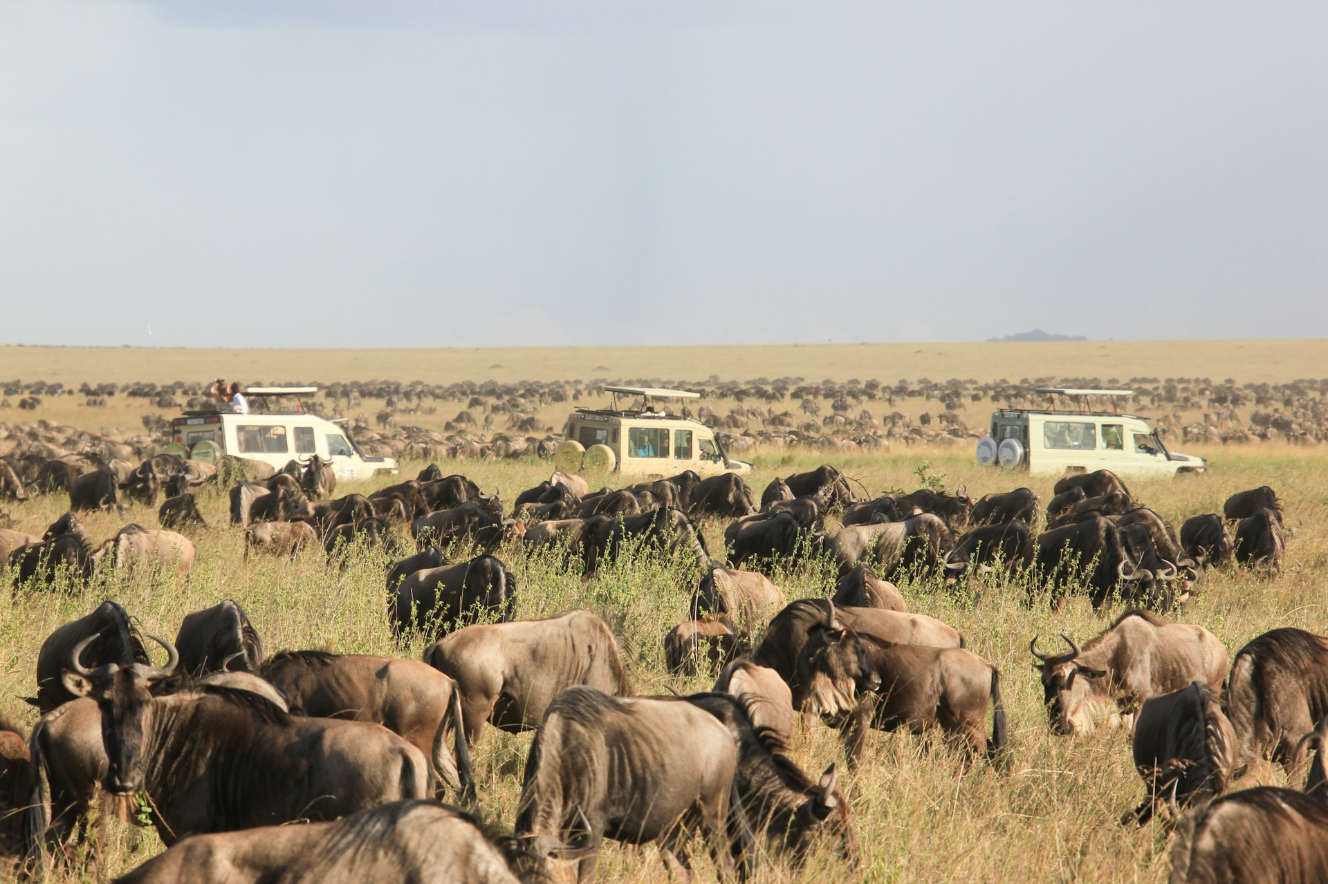 Circuito nord della Tanzania: destinazioni, costo, durata del tour