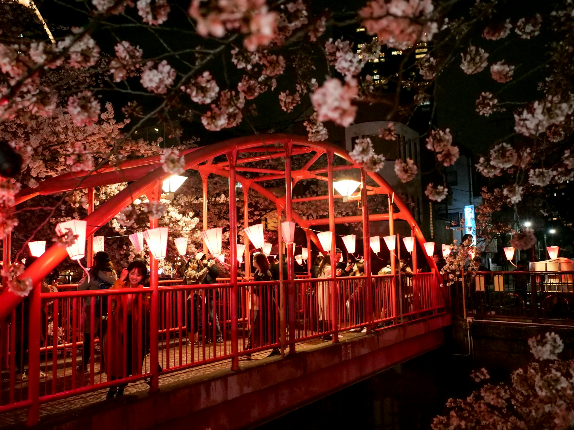 Strategie turistiche per la fioritura dei ciliegi in Giappone: gestione degli afflussi e sostenibilità