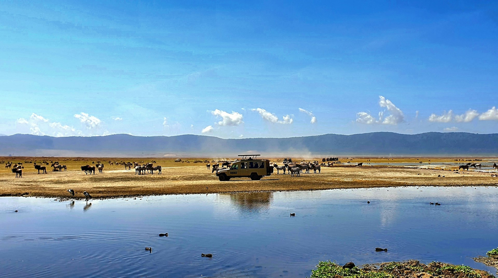 Ngorongoro: cratere e conservational area, la guida completa