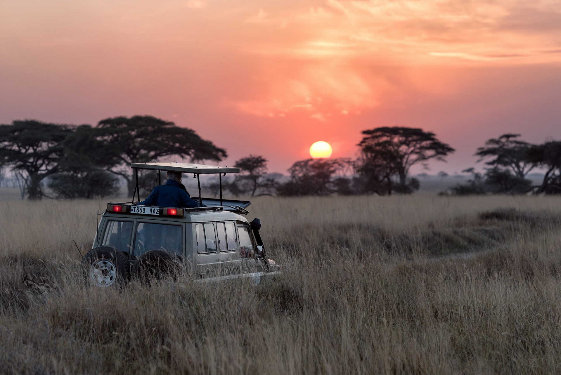 Serengeti: safari tra gli animali del Serengeti