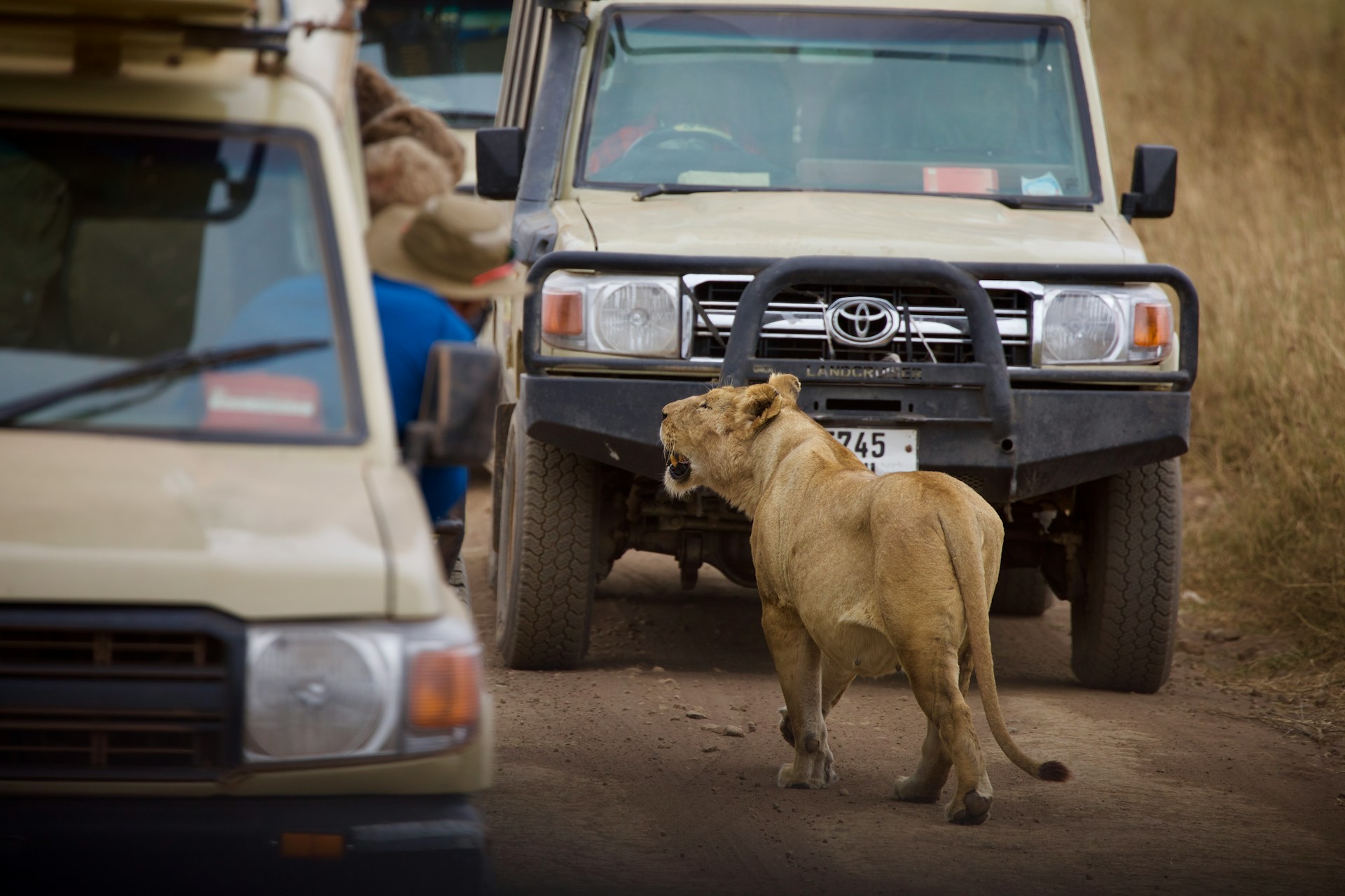 Sicurezza in Tanzania: a cosa stare attenti, sicurezza del safari