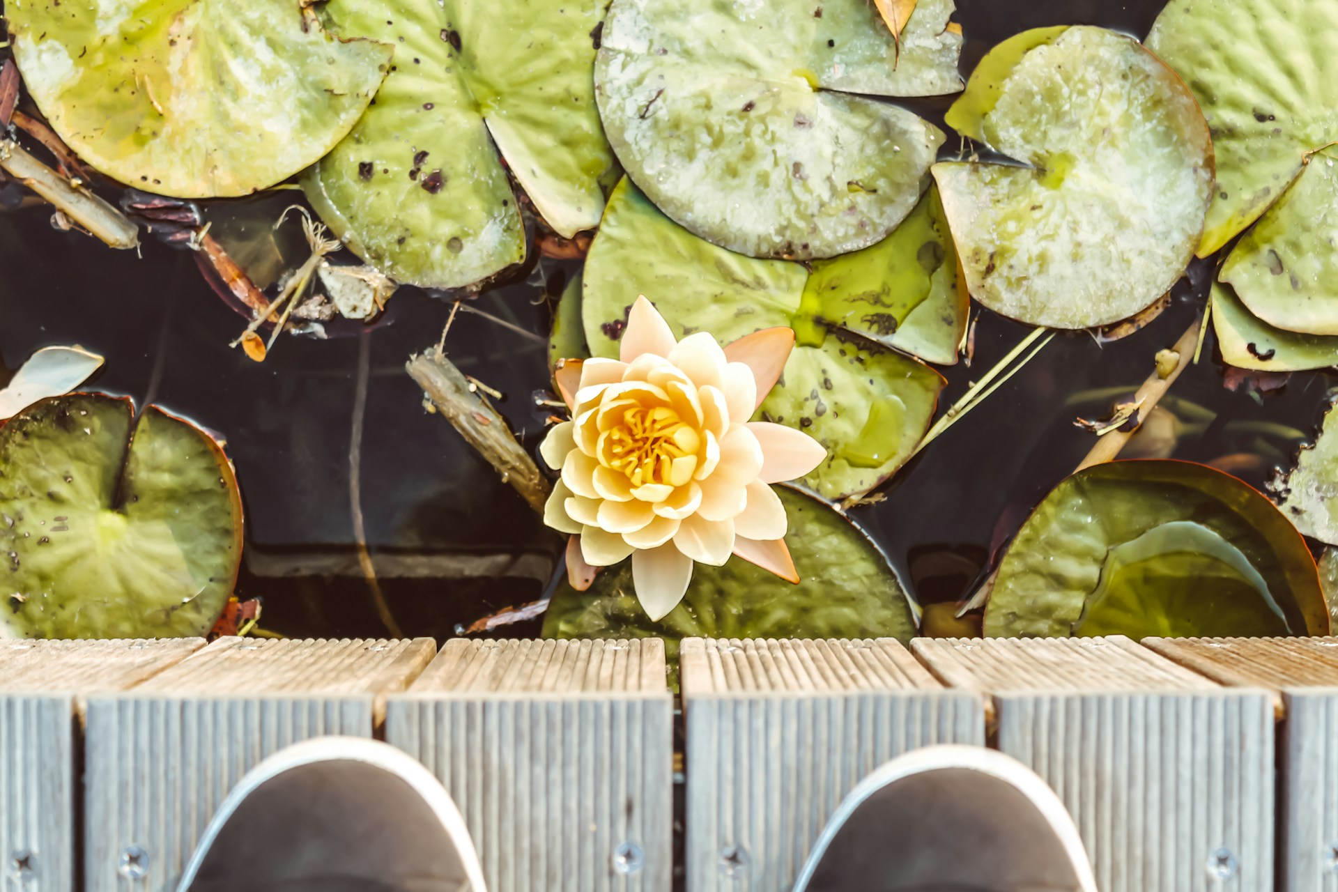 Centri benessere e spa naturali in Corea del Sud: il relax tra tradizione e modernità